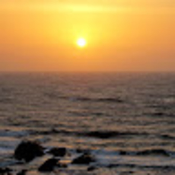 nehasingh922